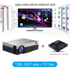 1080p LED full HD Projector ( Android 9.0 wifi optional)